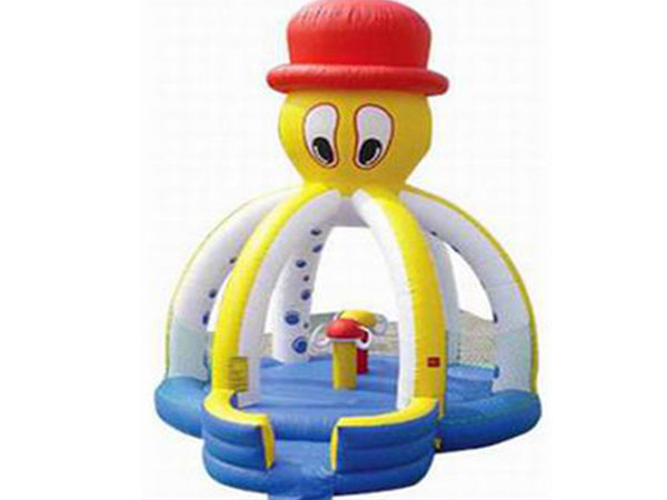 bouncer inflatable