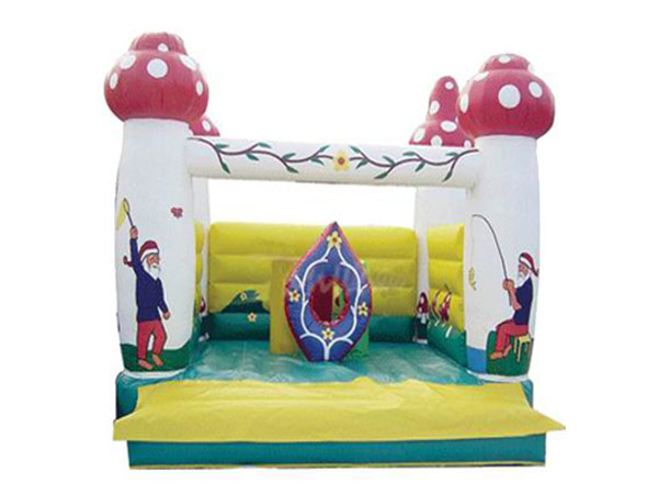 Bounce Houses & Jumps 9
