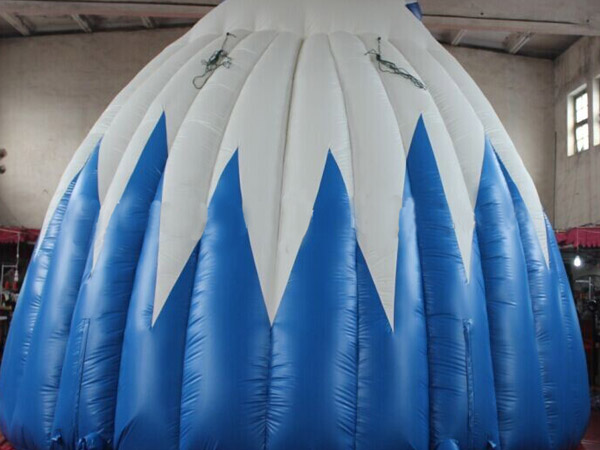 Inflatable Tent & Things 10